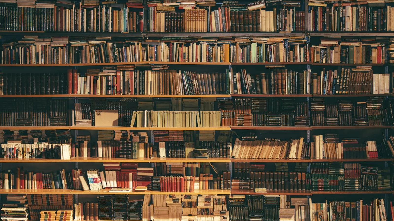 Estanterías de una biblioteca con libros de consulta
